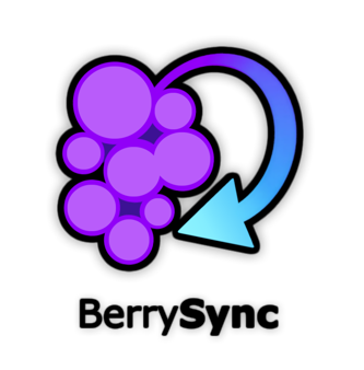 BerrySync Logo.png