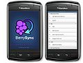 BerrySync UI.jpg
