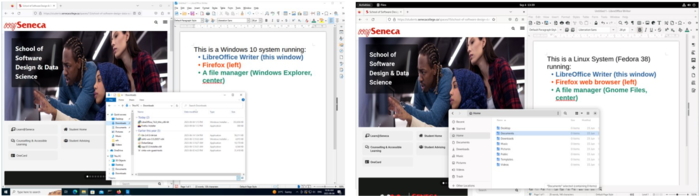 A side-by-side view of Windows (10) and Linux (Fedora 38 - Gnome) graphical user interfaces displaying similar information.