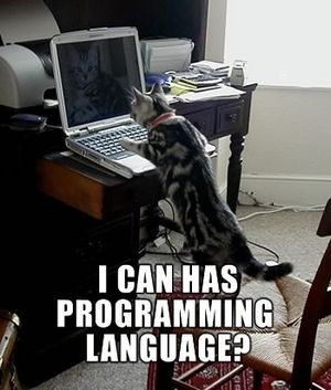 Lolcat-programming.jpg