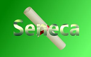 Seneca-Wallpaper-02.jpg