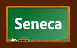 Seneca-Wallpaper-04.jpg