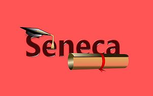 Seneca-Wallpaper-08.jpg