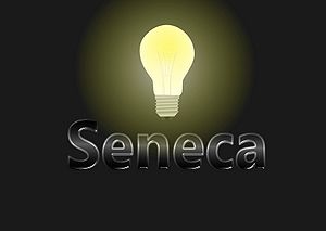 Seneca-Wallpaper-09.jpg
