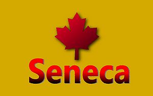 Seneca-Wallpaper-17.jpg