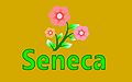 Seneca-Wallpaper-27.jpg