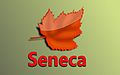 Seneca-Wallpaper-28.jpg