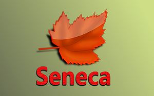 Seneca-Wallpaper-28.jpg