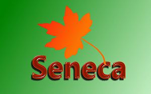 Seneca-Wallpaper-32.jpg