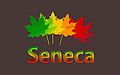 Seneca-Wallpaper-33.jpg