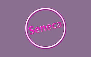 Seneca-Wallpaper-36.jpg