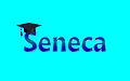 Seneca-Wallpaper-38.jpg