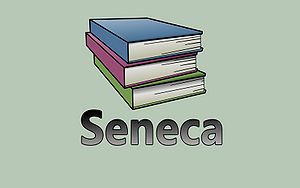 Seneca-Wallpaper-41.jpg