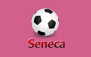 Seneca-Wallpaper-42.jpg