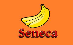 Seneca-Wallpaper-45.jpg