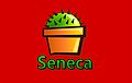 Seneca-Wallpaper-48.jpg