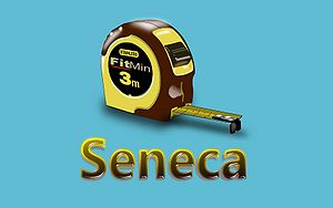 Seneca-Wallpaper-49.jpg