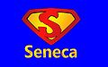 Seneca-Wallpaper-50.jpg