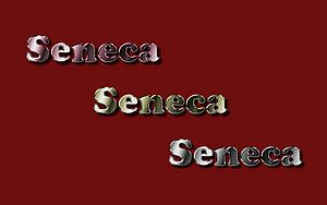 Seneca-Wallpaper-51.jpg