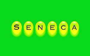 Seneca-Wallpaper-53.jpg