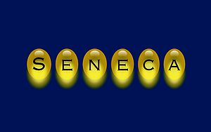Seneca-Wallpaper-55.jpg