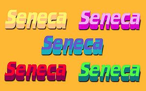 Seneca-Wallpaper-57.jpg