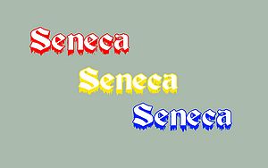 Seneca-Wallpaper-59.jpg