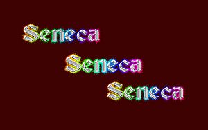 Seneca-Wallpaper-60.jpg