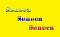 Seneca-Wallpaper-62.jpg