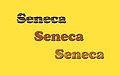 Seneca-Wallpaper-64.jpg
