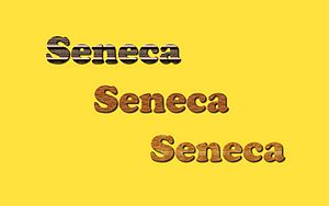 Seneca-Wallpaper-64.jpg