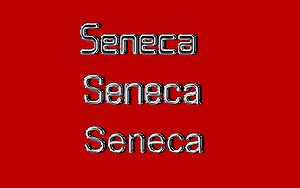 Seneca-Wallpaper-65.jpg